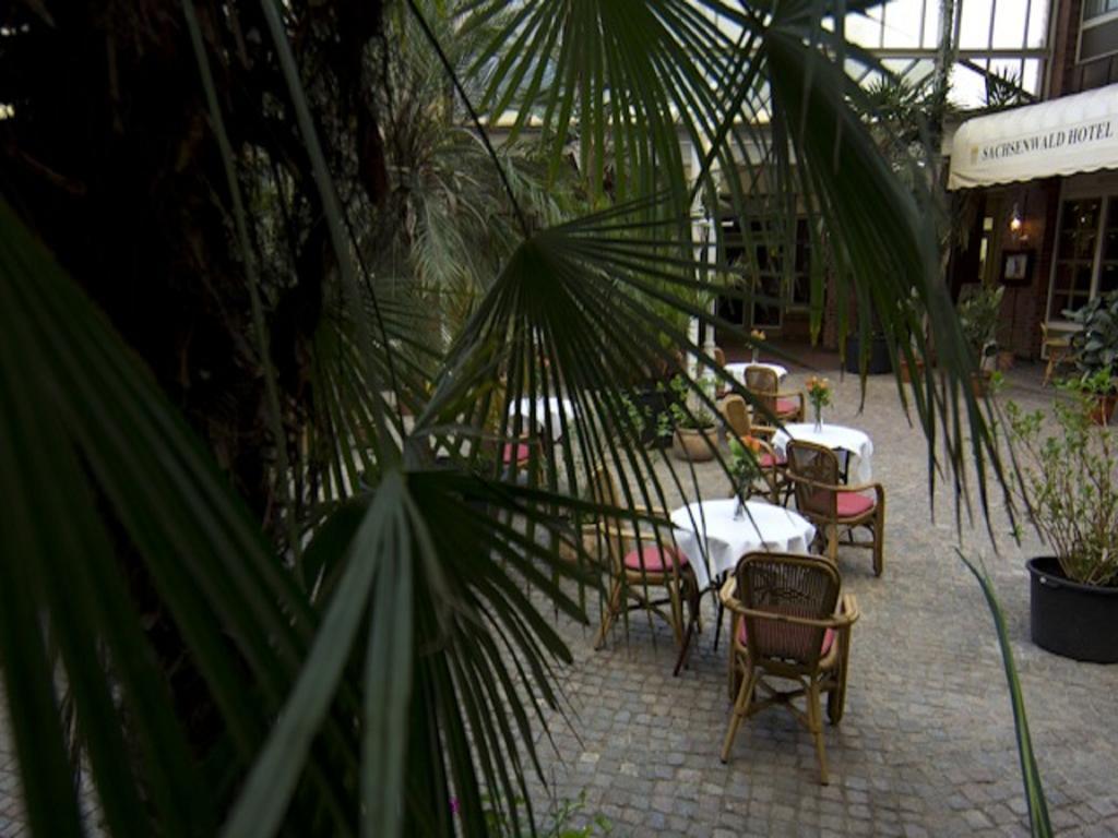 Sachsenwald Hotel Reinbek Dış mekan fotoğraf
